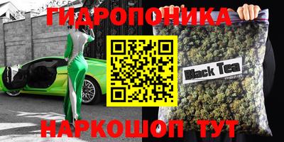 спиды Можга