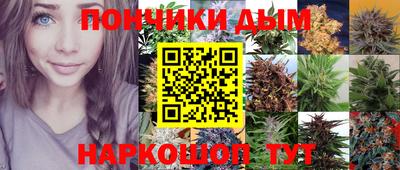 спиды Можга