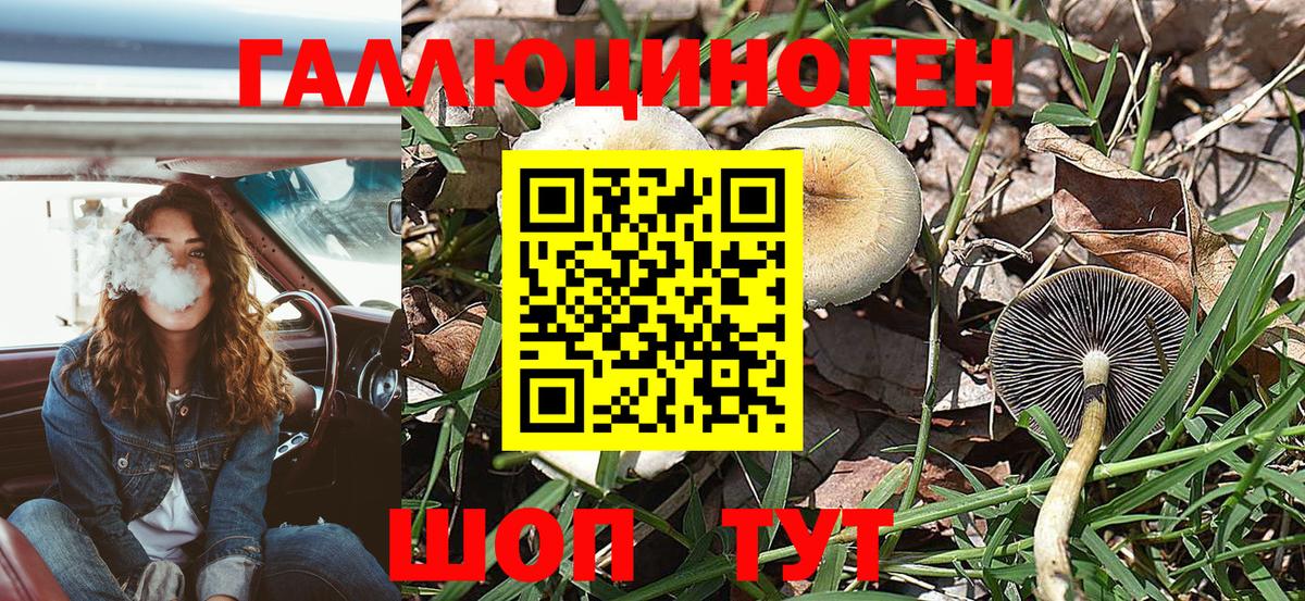 Галлюциногенные грибы MAGIC MUSHROOMS  Вход с VPN  Торжок 