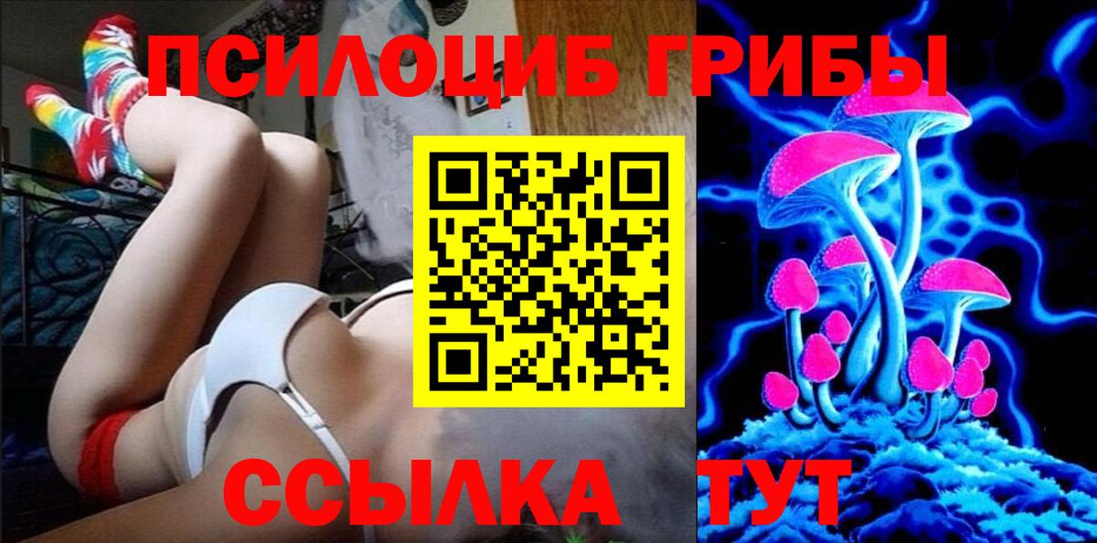 Галлюциногенные грибы Psilocybine cubensis Торжок